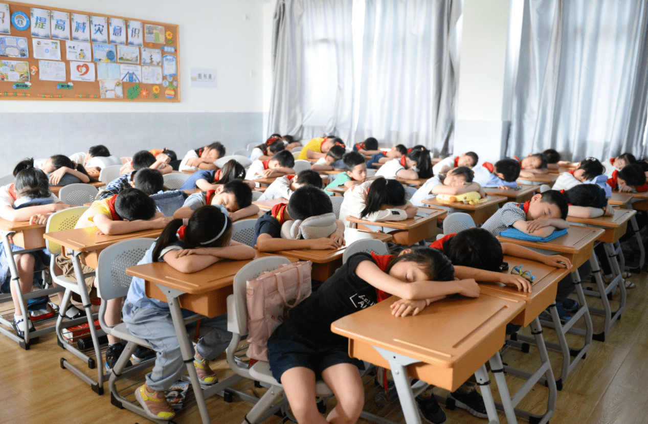 这学校谁不爱？南京一小学让学生躺着午睡，网友看到学费后：难怪