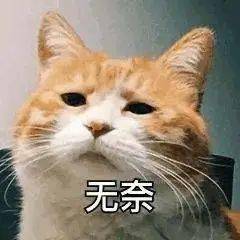 英国大学宿舍申请截止日期_英国大学宿舍申请攻略_英国留学网