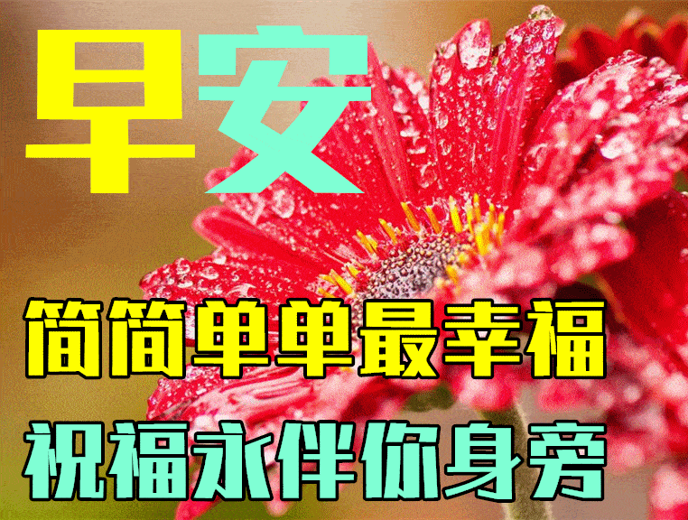9月24日秋季早上好问候朋友祝福美句,2022最新特别漂亮早安动态美图