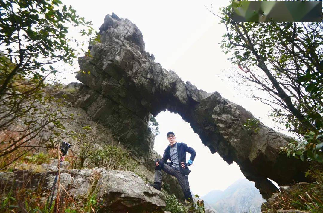 連平黃牛石峰號稱