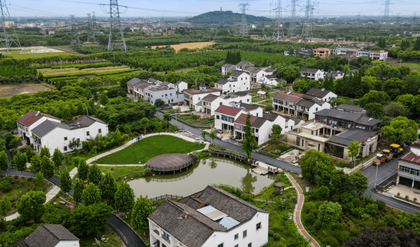 浙江桐乡最美乡村图片