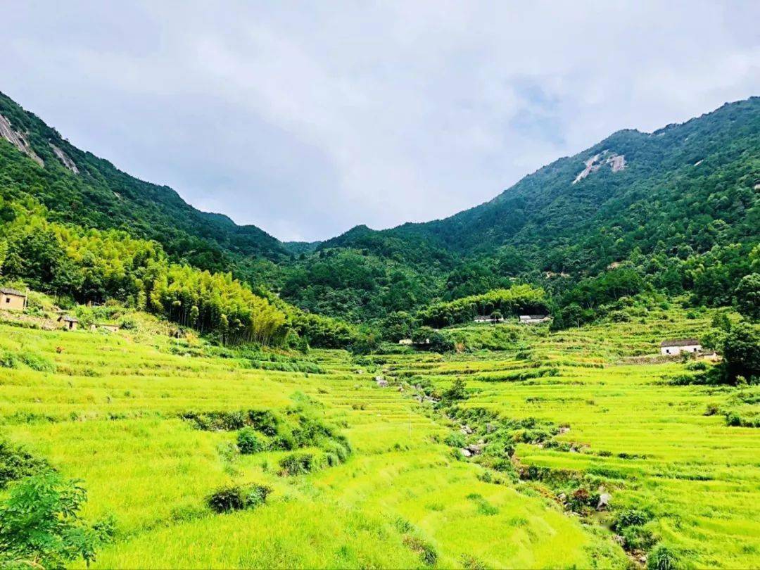 蘄春這些地方美出新高度_梯田_雲山_鮑山