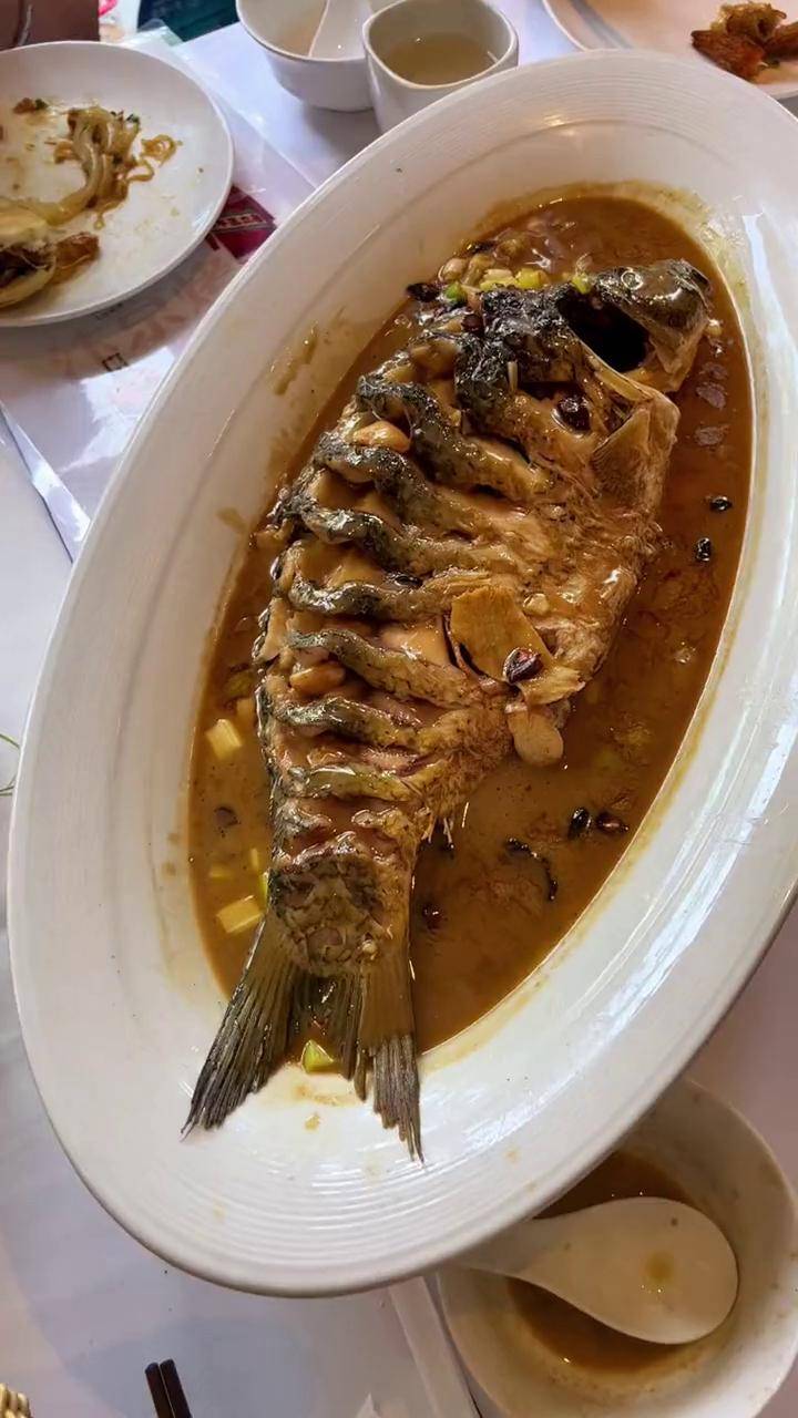 吃过红烧黄河大鲤鱼,你吃过煎烧黄河大鲤鱼吗?肉质细腻,鲜美可口!