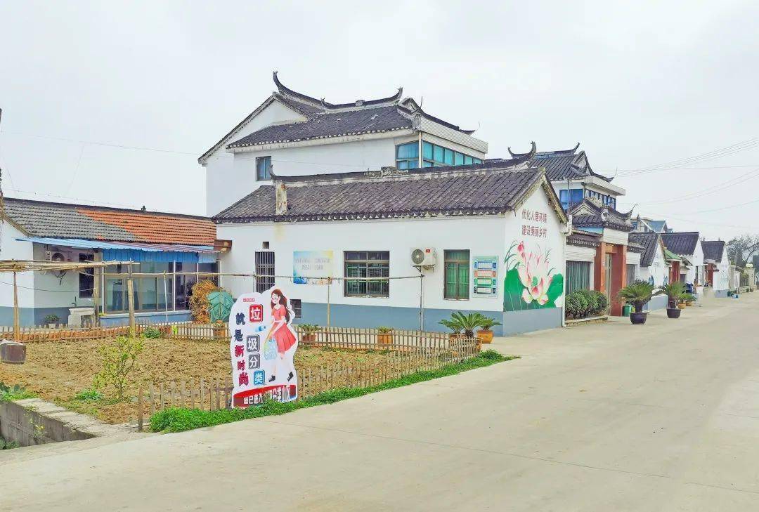 这个村,美丽新蜕变……_横泾_文明_村民