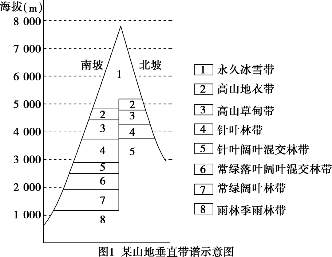 完整的垂直带谱图片