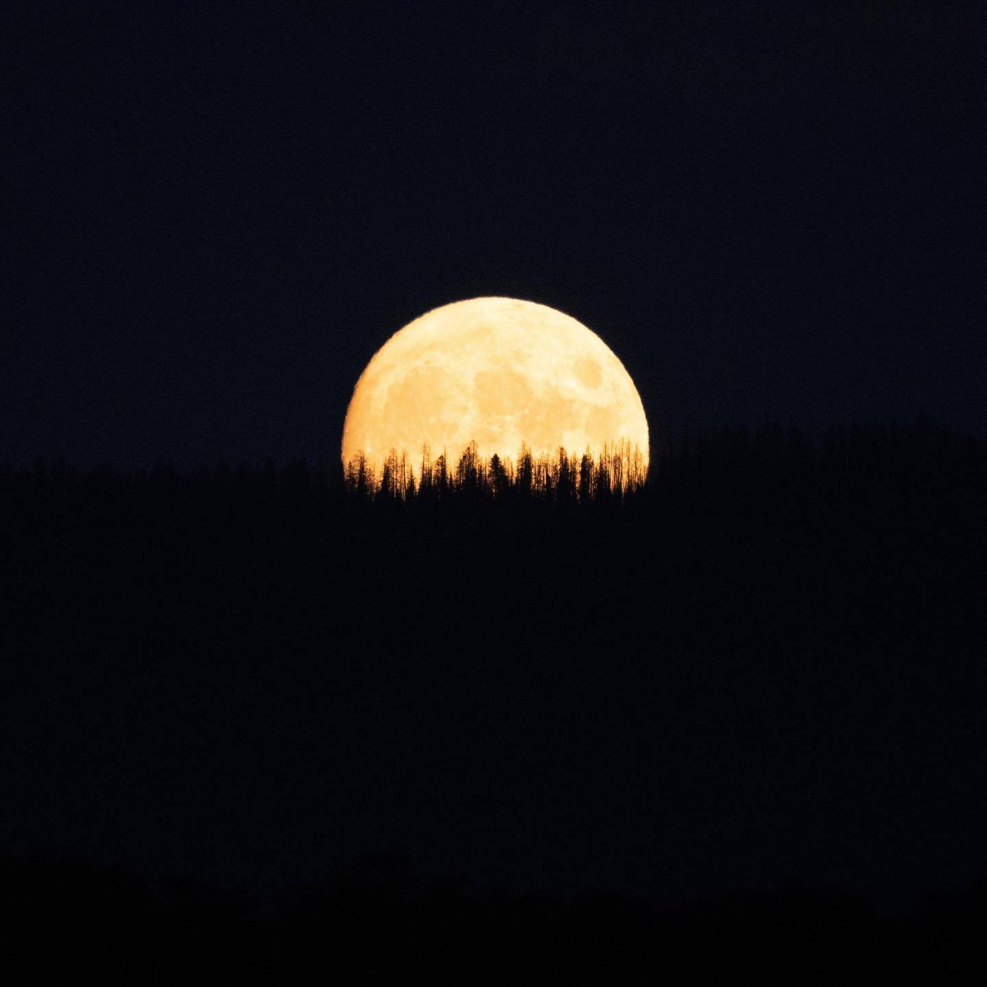 夜色唯美,来美国阿斯本赏迷人圆月_滑雪_北美_swanson