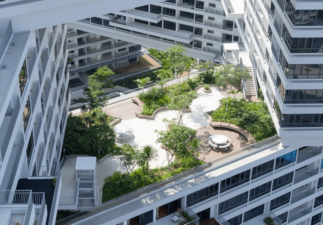 屋顶绿化,政府带头美国芝加哥市政厅绿色屋顶美国芝加哥市政厅从街上