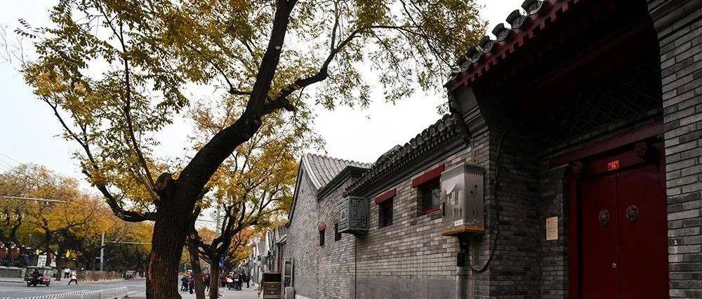 沙滩一带秋日胡同、灰墙与红门