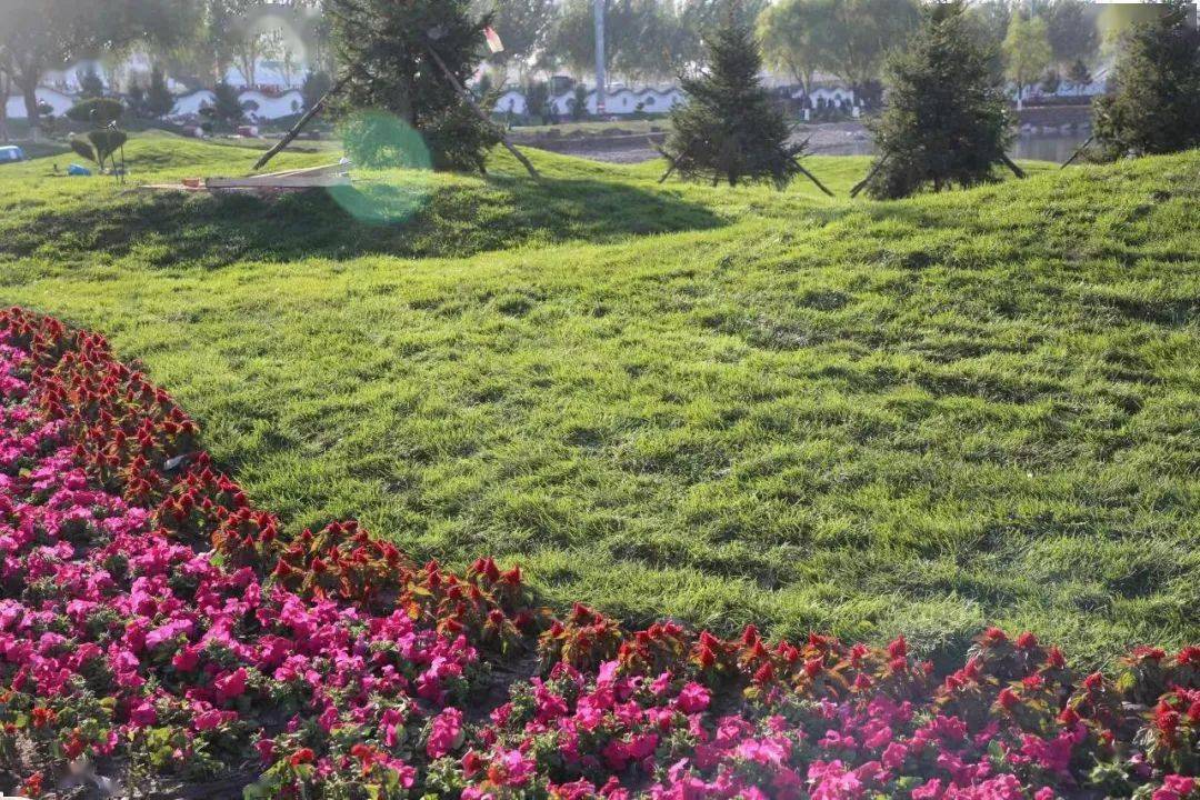 白城市森林公园主体建设完成,现已对外开放!_绿化_市民_文化