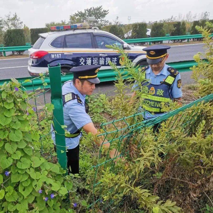 安徽高速路政护航交通“动脉”，服务国庆畅安出行 经营 高速公路 路段