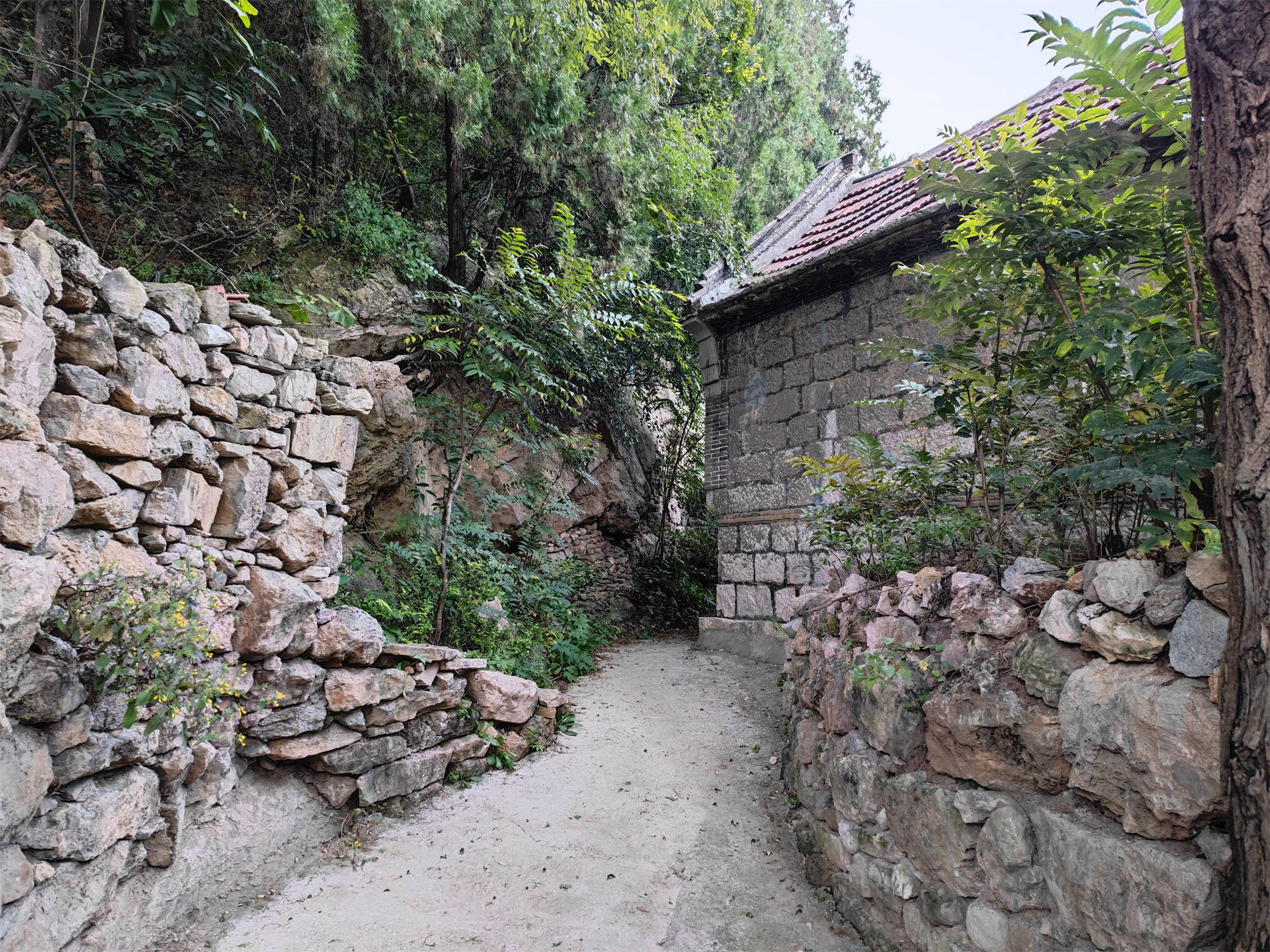 淄博这个古老的村落，被誉为椿芽第一村，附近有个空中草原秘境