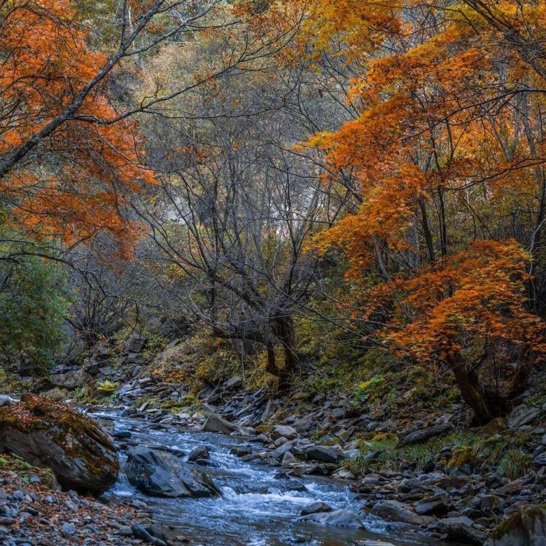 住美宿·趣露营·赏美景，这份国庆旅行攻略必须收藏！