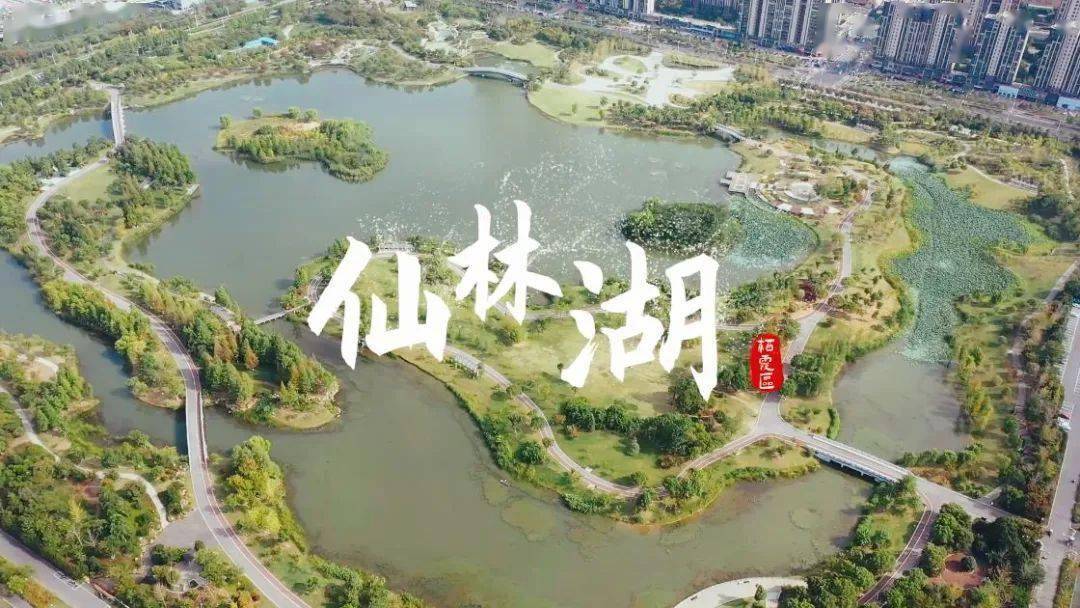 极美南京•幸福河湖——仙林湖