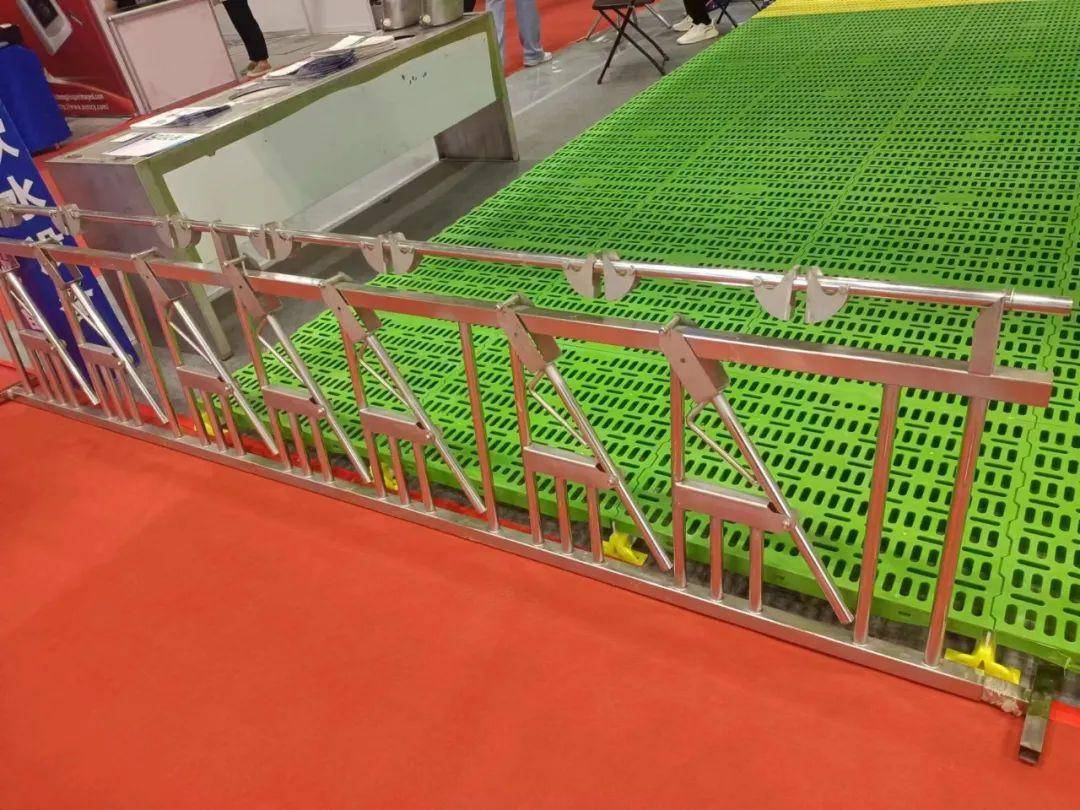 羊颈夹的那些事,养羊超过100头的养殖户更要知道_应用_管理_羊群