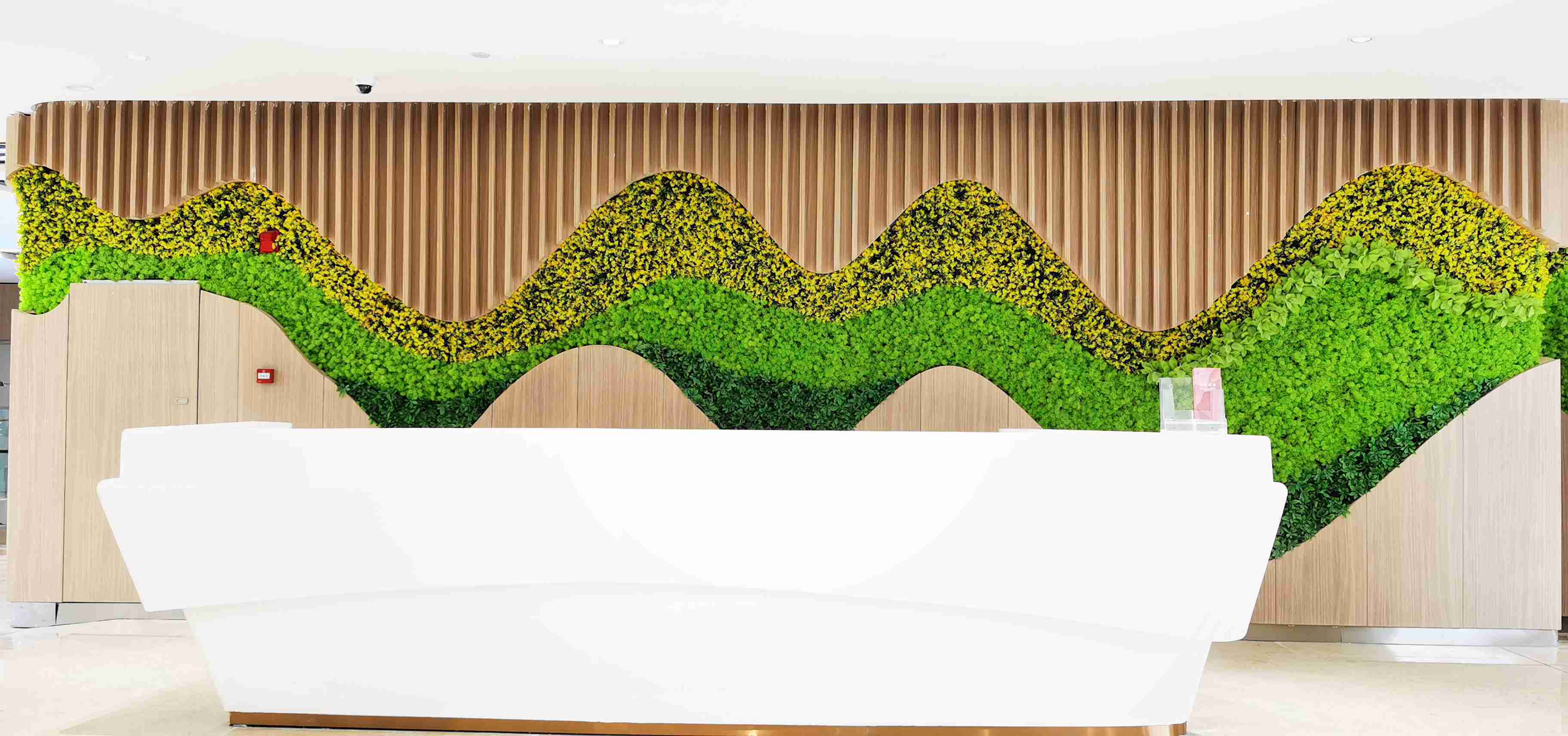 碧桂园,万达集团等知名企业定制安装了仿真植物墙或生态植物墙,设计师
