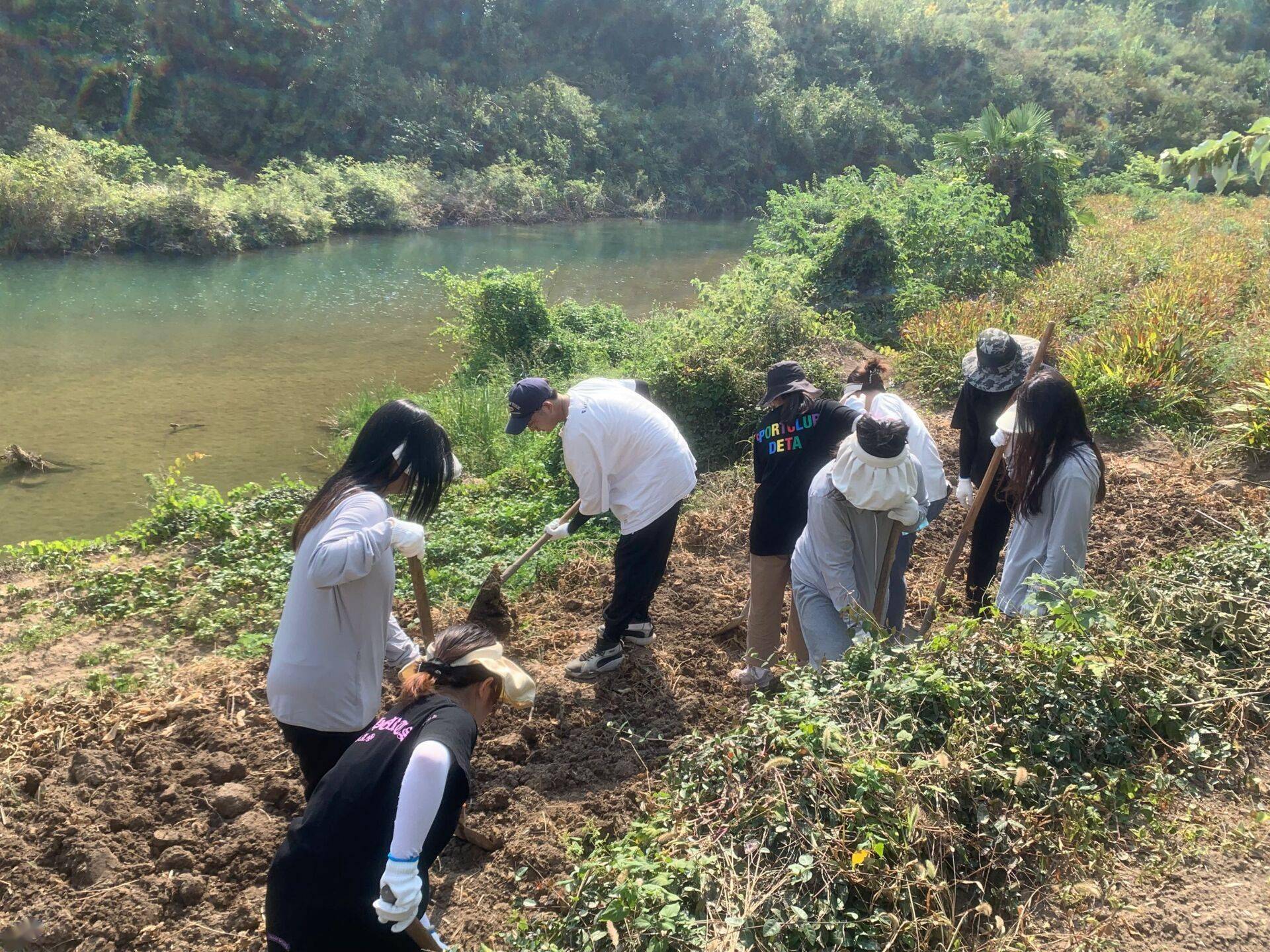 武汉一高校千余名大学生下乡忙秋收 劳动教育收获多_农户_同学_来自