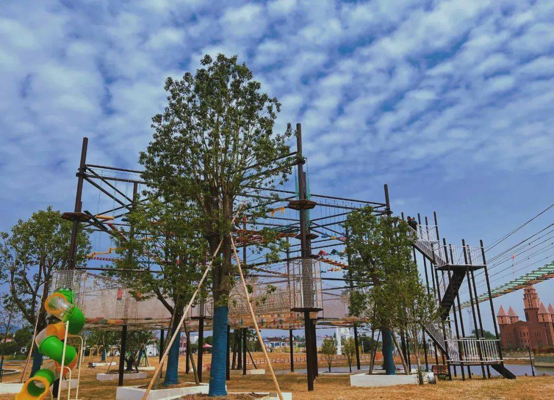 安徽人游安徽丨一起来桐城花间塘,打卡属于秋天的浪漫与热情~