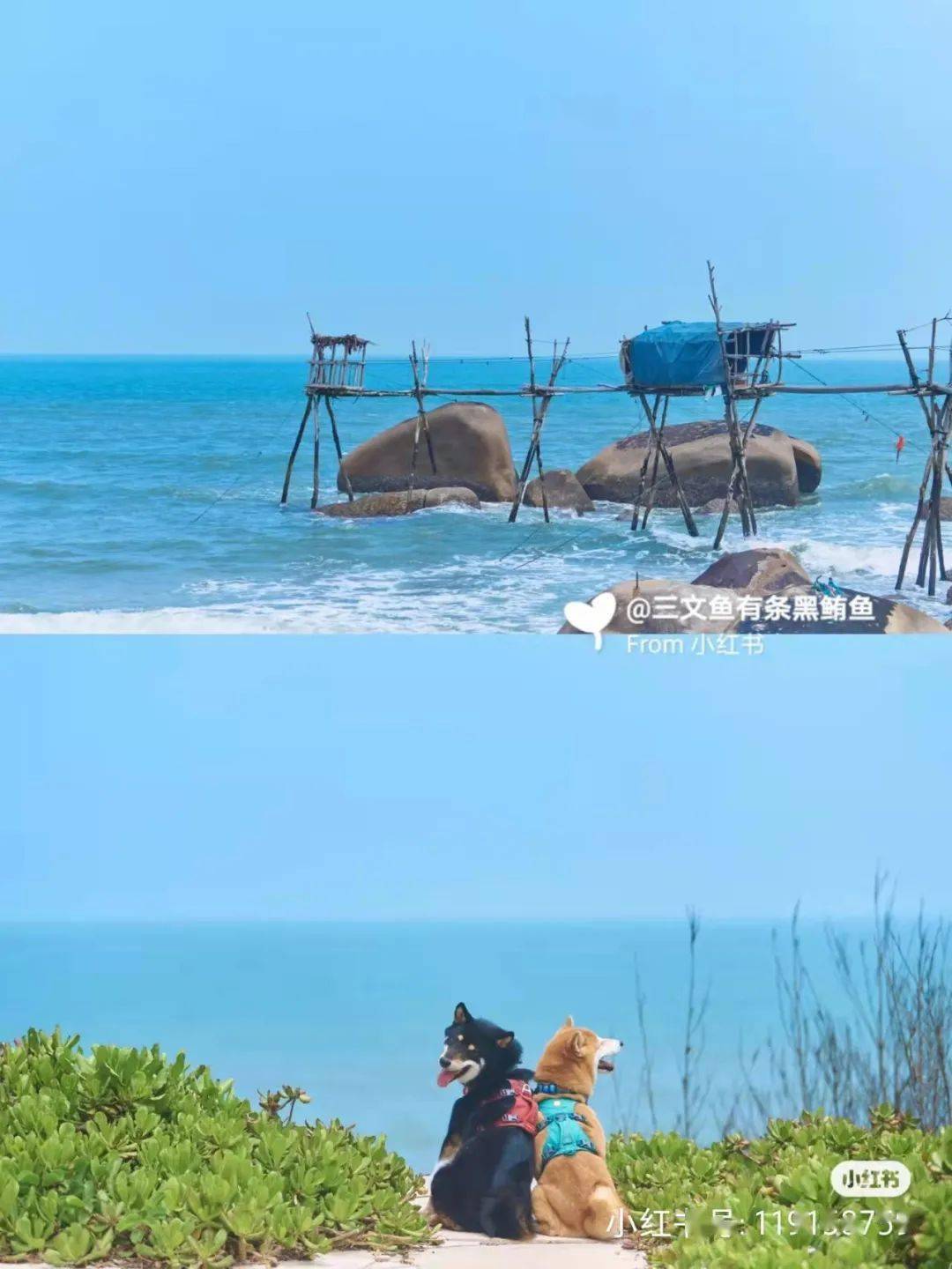 漳浦龙美湾抽象画廊龙美湾抽象画廊+橘若风车堡+古雷