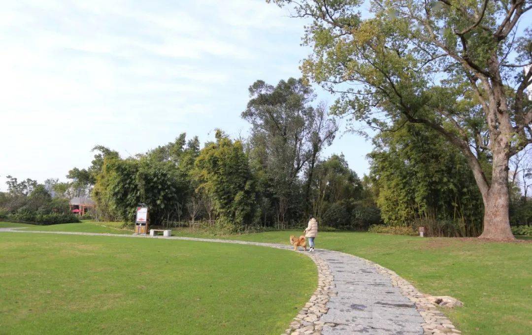 今天,我就留在灵溪!不走了_公园_状元_文化