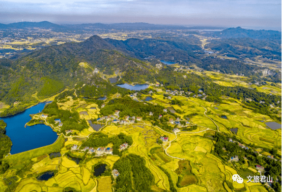 柿树岭村体验田园采摘擂鼓山庄享受原生态美食千年银杏古树谢凤良烈士
