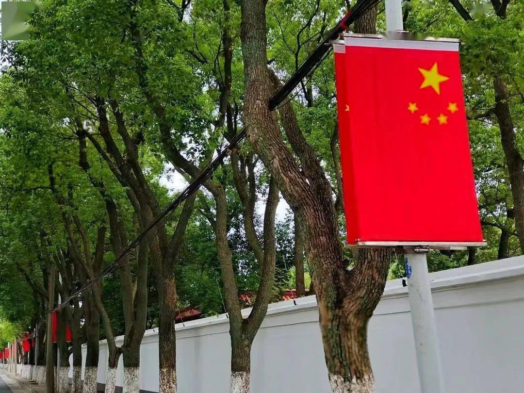 五星红旗是中华人民共和国的象征和标志,必须依法规范使用国旗