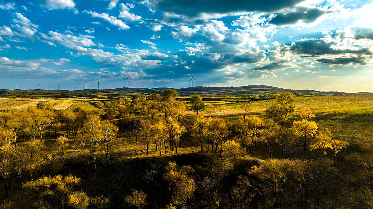 色染金秋 多彩右玉_右玉县_森林_山西省
