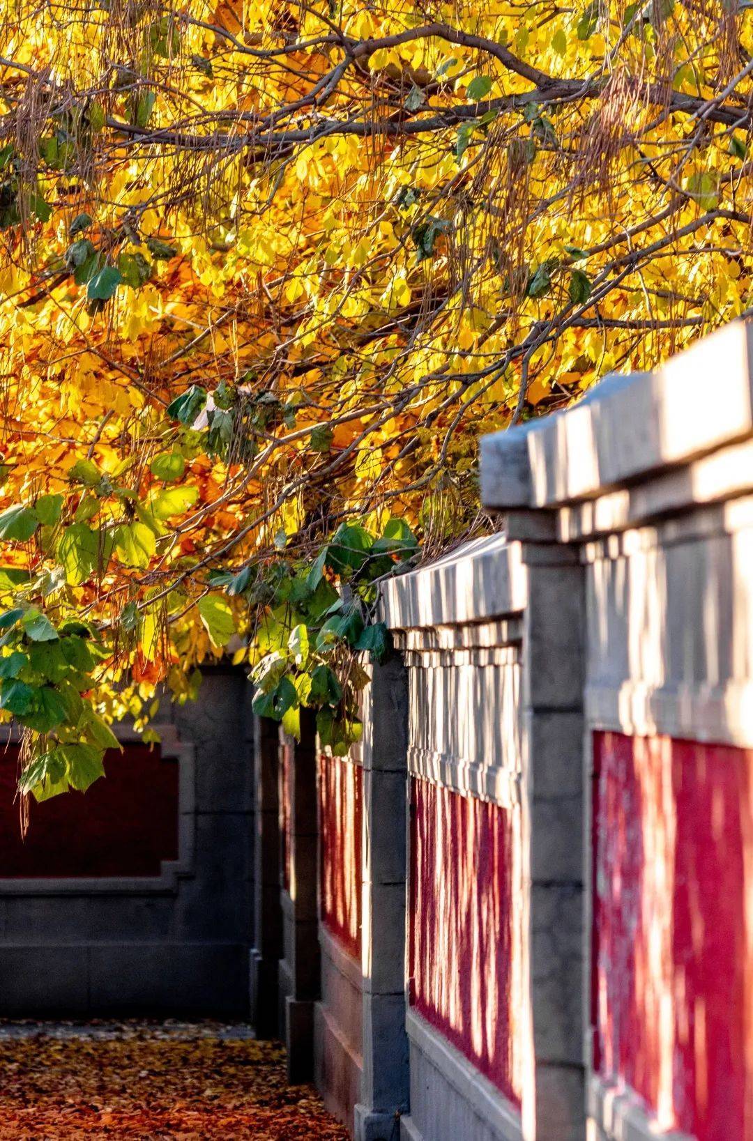 偽滿皇宮博物院,是國家5a級旅遊景區,全國重點文物保護單位.