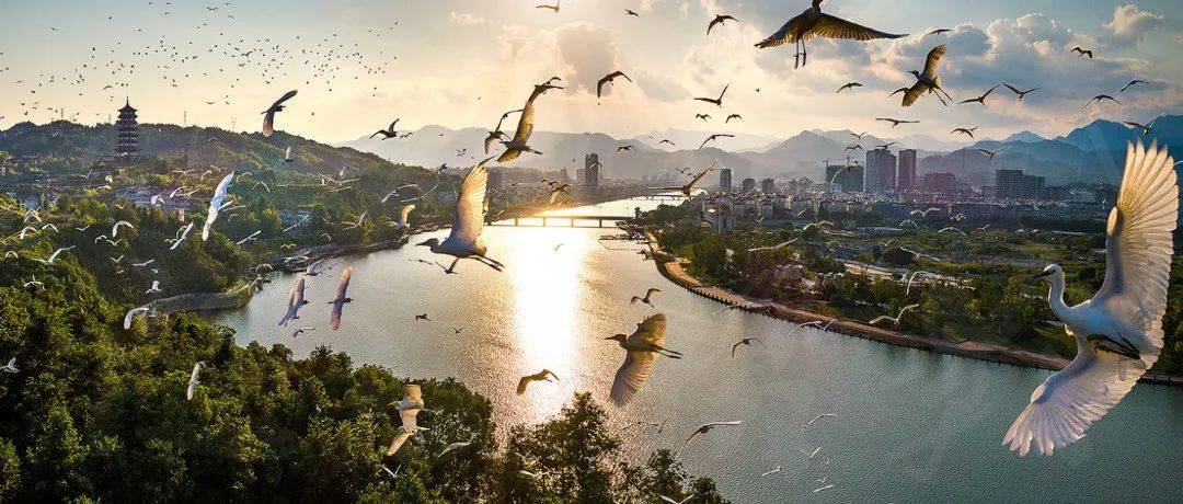 秋游丽水：花样游龙泉，看这里就够了！_国庆_青瓷_展览