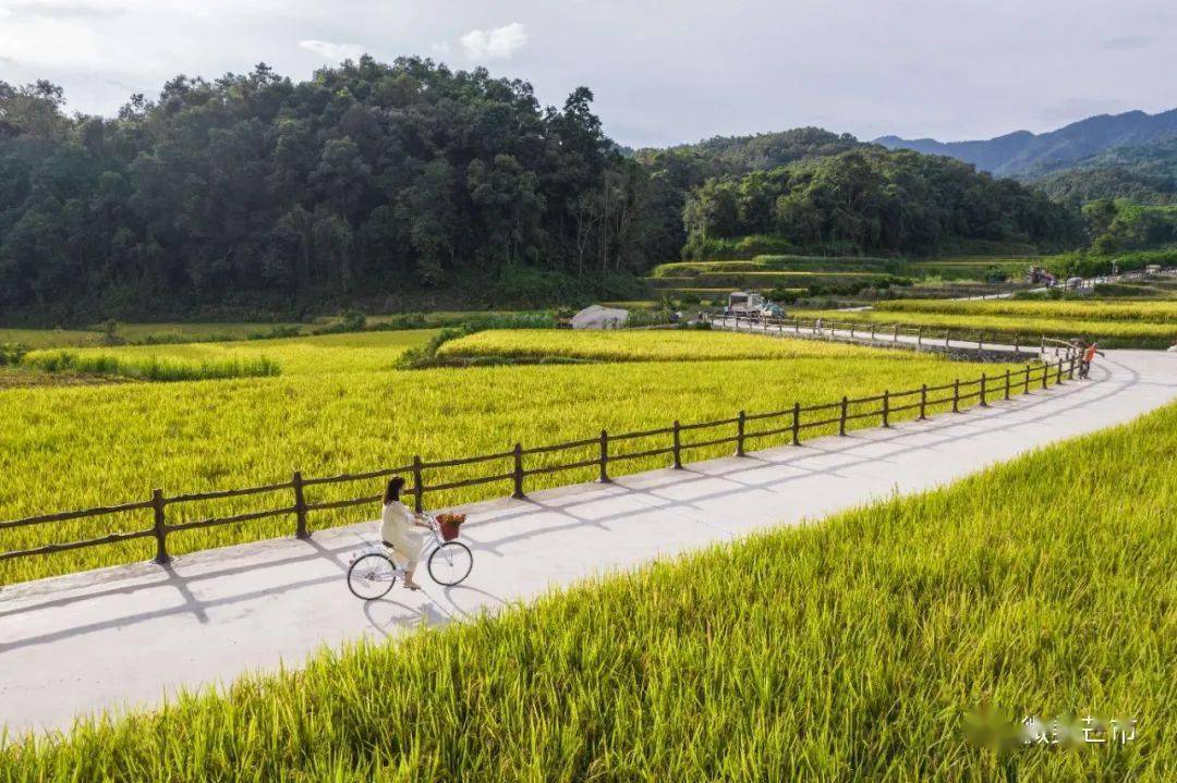 十一黄金周 | 到轩岗乡拉哏村露营吧!_芒市_营地_地方