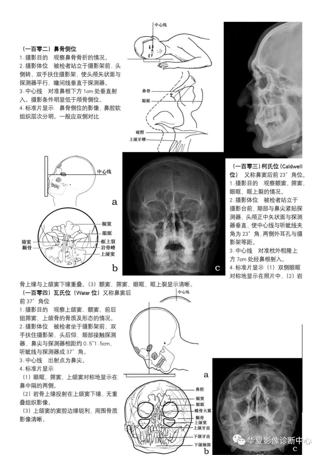 dr摄影大全(纯图分享)_解剖_传播_原文