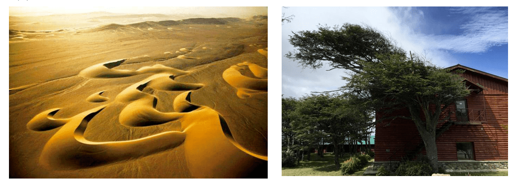 秋雨,秋台风,秋高气爽(处暑节气的天气)_我国_风力_空气