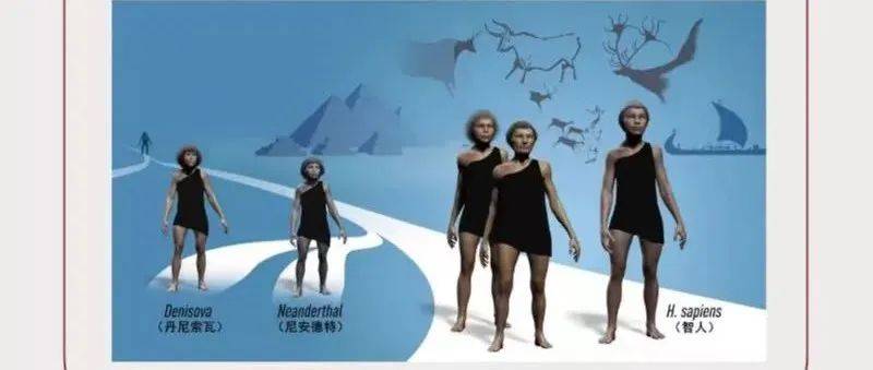 刚获诺奖的古基因学证实,新冠易感性可能来源于古人类_新冠易感性可能来源于古人类_尼安德特_研究