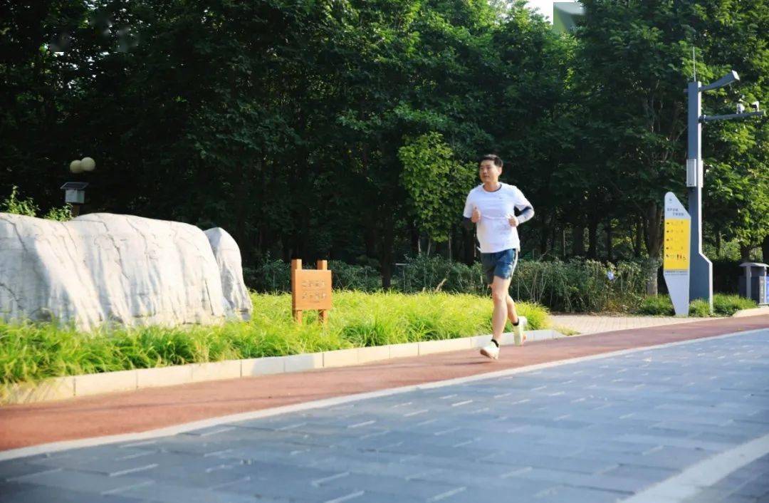 石景山这个公园新添一条健身健走步道！
