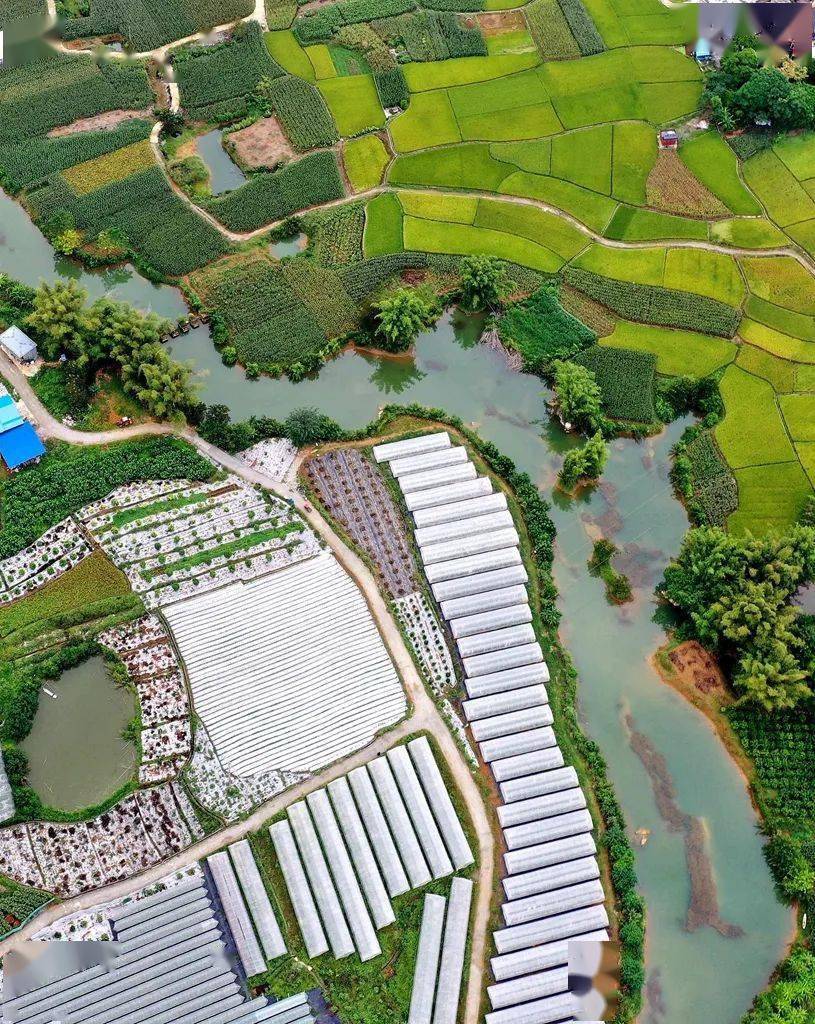 都安地苏:美丽瑶乡流淌丰收韵律_苏镇_离开_田园