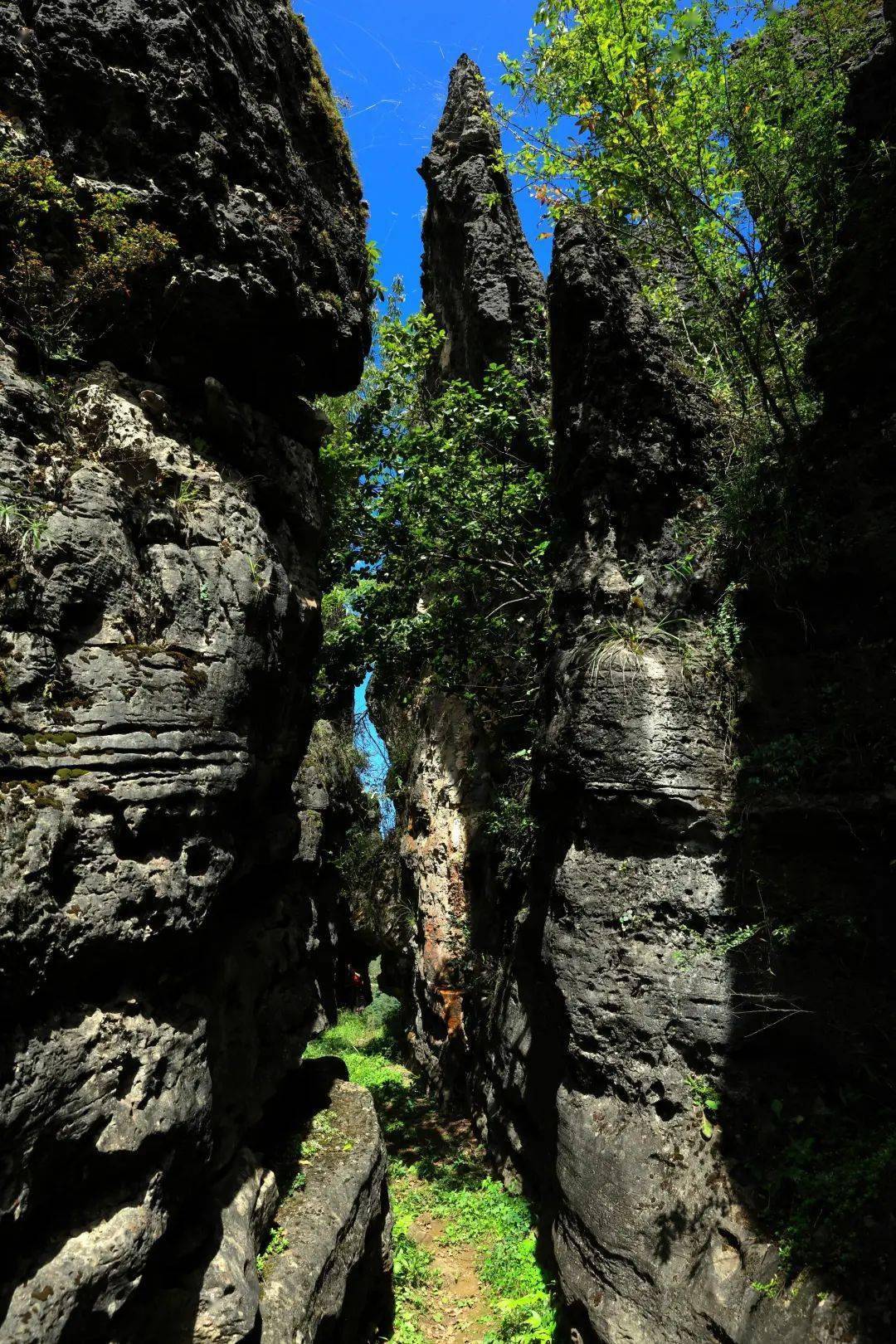 乐红小石林 身居山中藏美景_奇峰_鲁甸_一线天