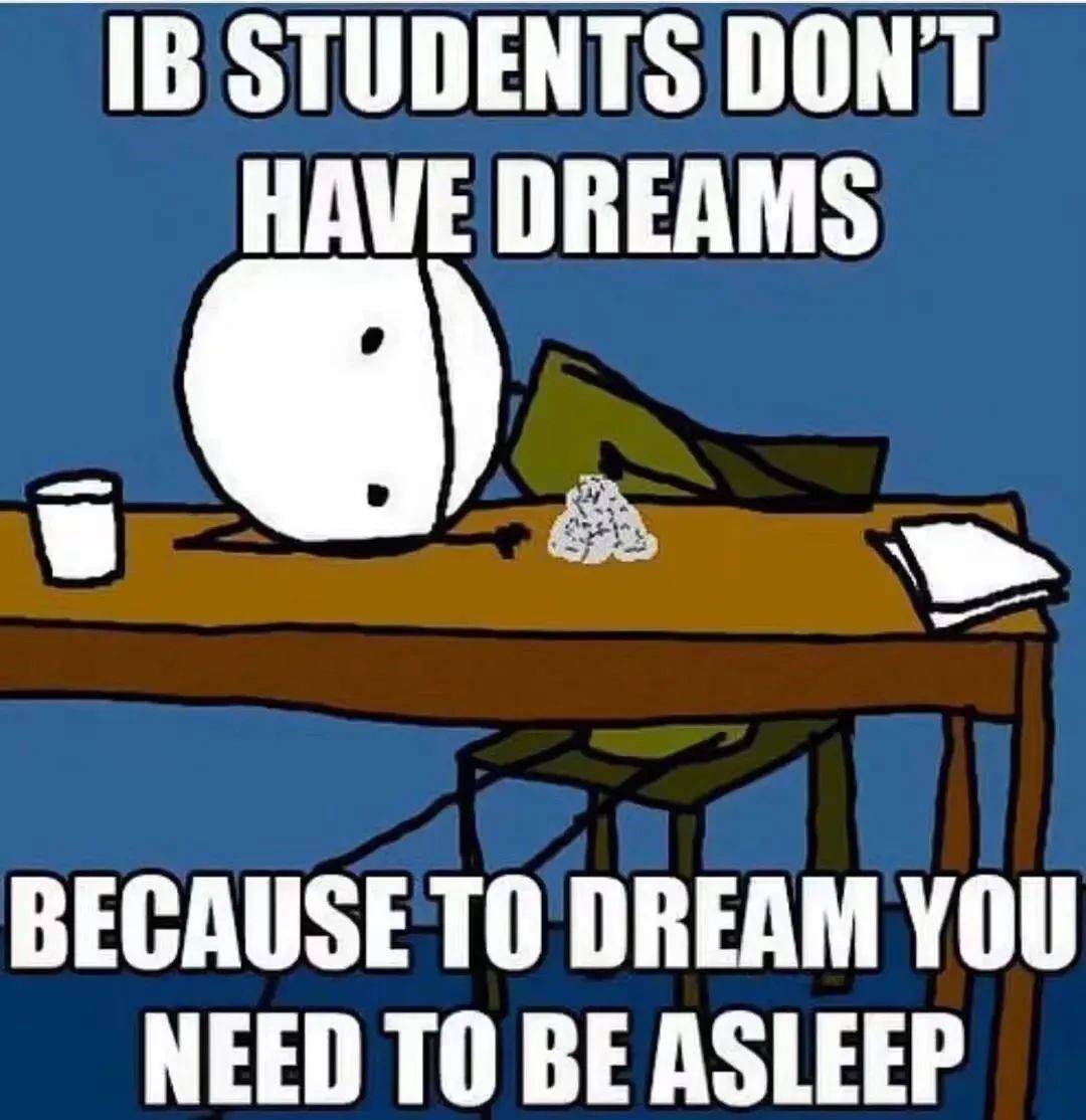 IB中的IA是什么？怎样才能拿高分？_搜狐网