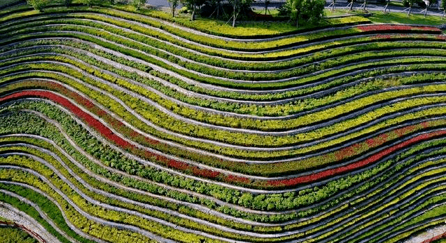 大地艺术风格的景观作品