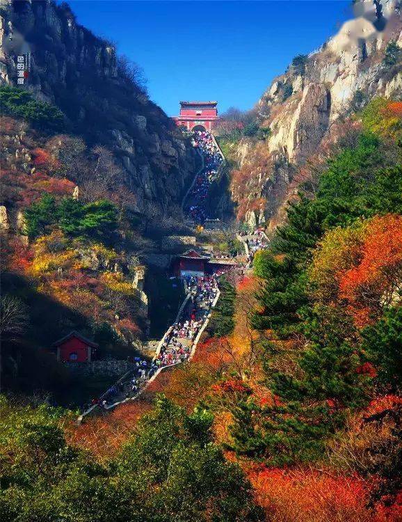 青岛人_泰山_大明湖