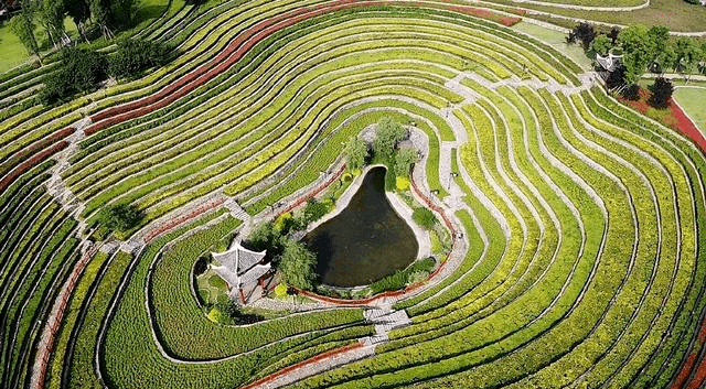 大地艺术风格的景观作品