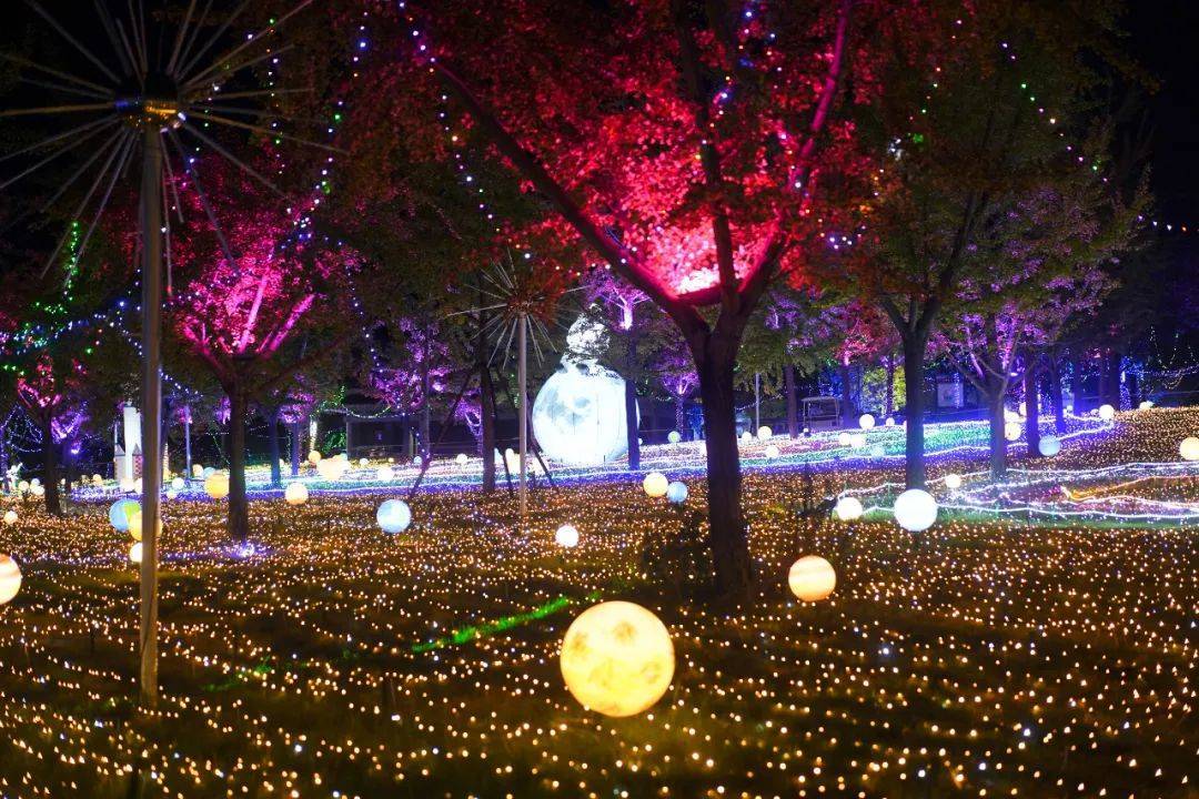 风景区湖光山色,夜晚,湖面上会有实景表演,最喜欢的是草坪间的灯光秀