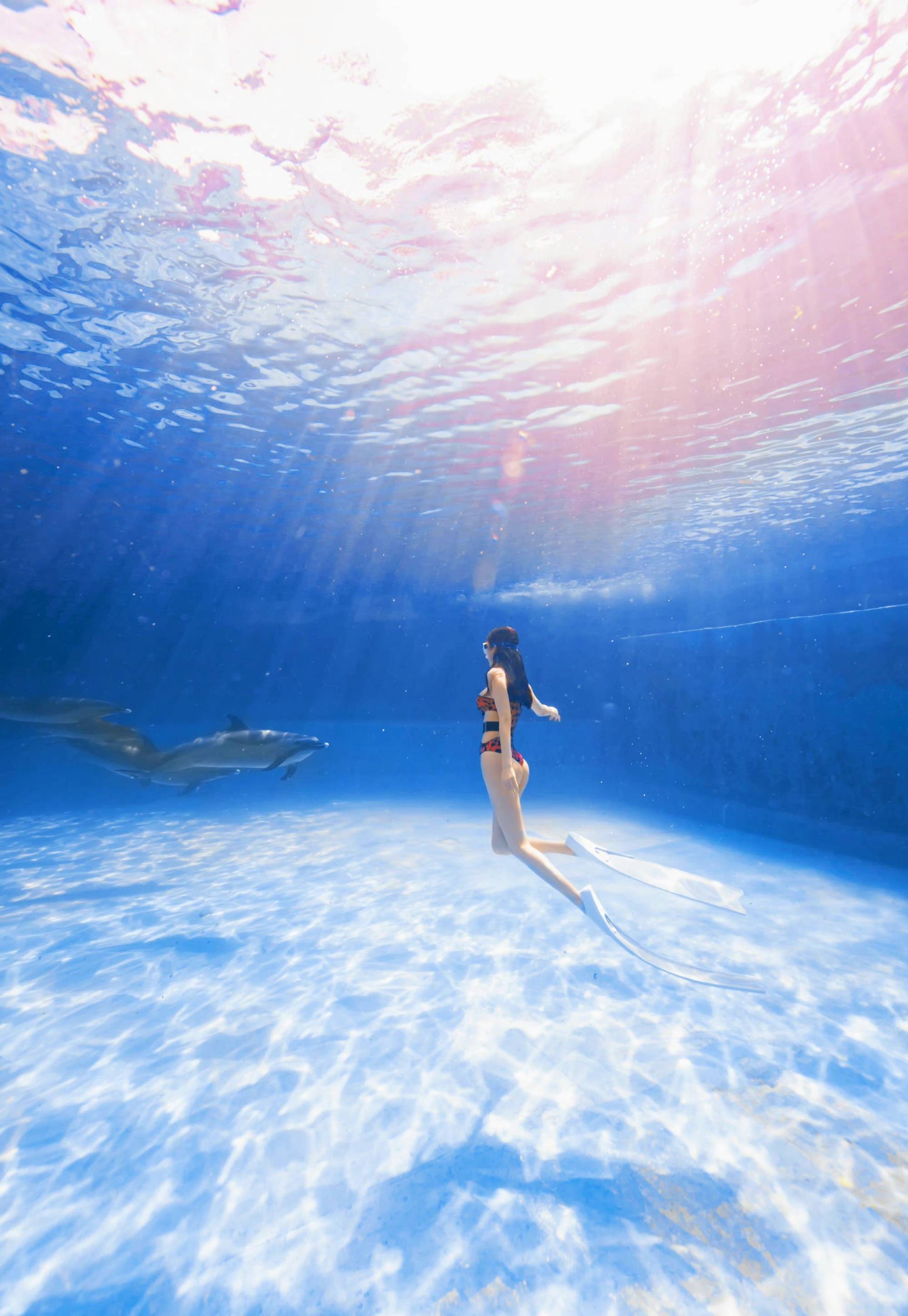 章佳怡晒与海豚一起游泳写真,大长腿摆动,大片一般,十分唯美_潜水