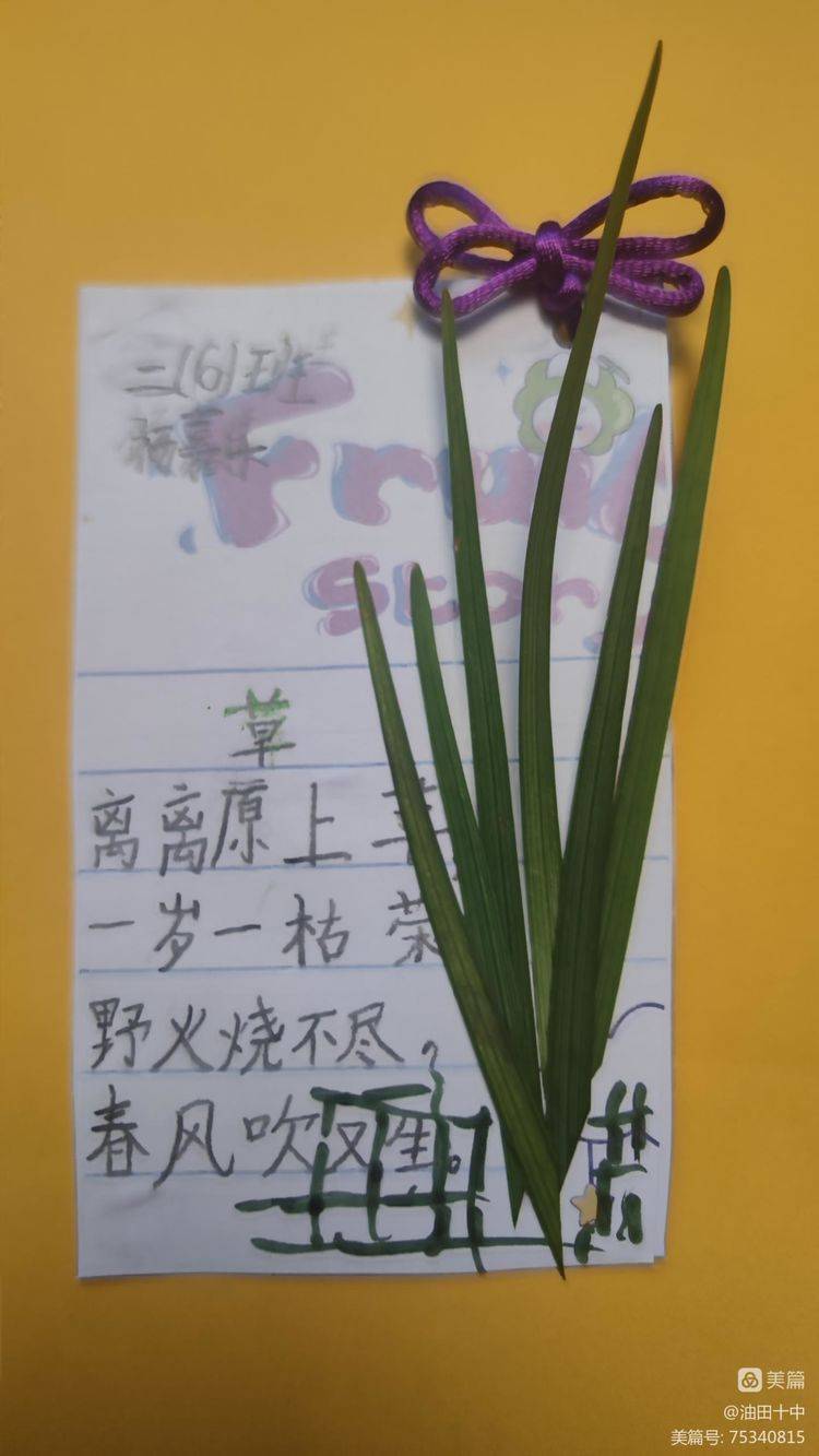 一片片落叶通过我们一双双灵巧的小手变成了精美的书签!