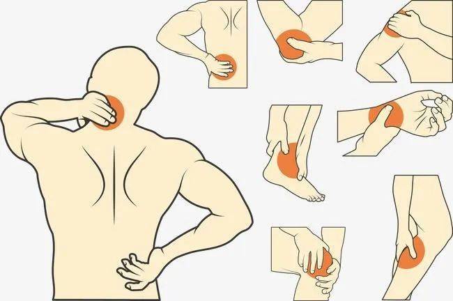 骨关节病:肱骨外上踝炎(网球肘),屈指肌腱狭窄性腱鞘炎(弹响指) ,足跟