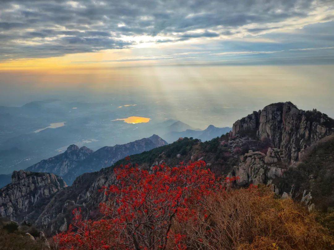 秋高气爽,邂逅泰山秋色_景区_草木_颜色