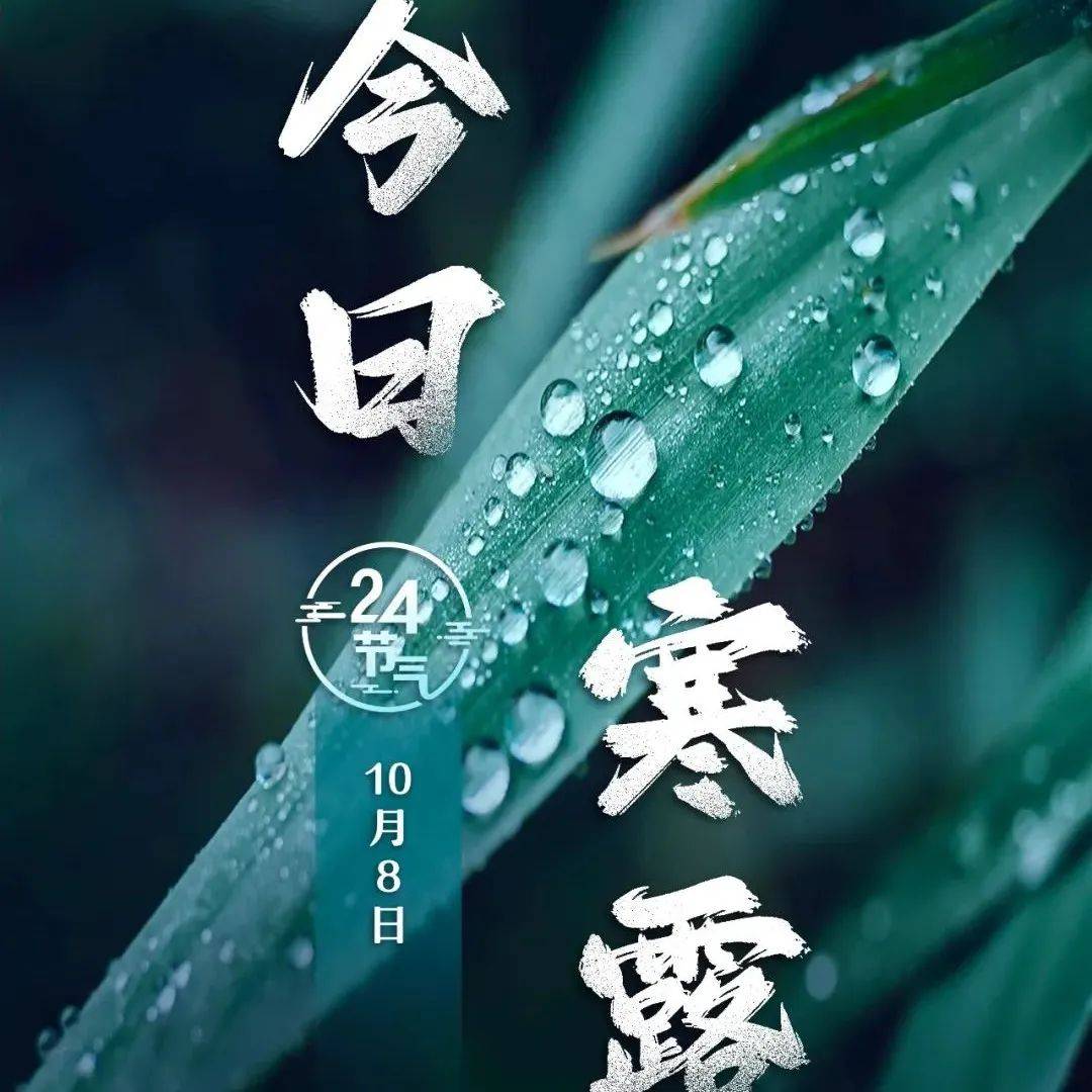 今日寒露｜寒露至 入深秋_寒露节气冬季版图反超秋季_乌海_制图