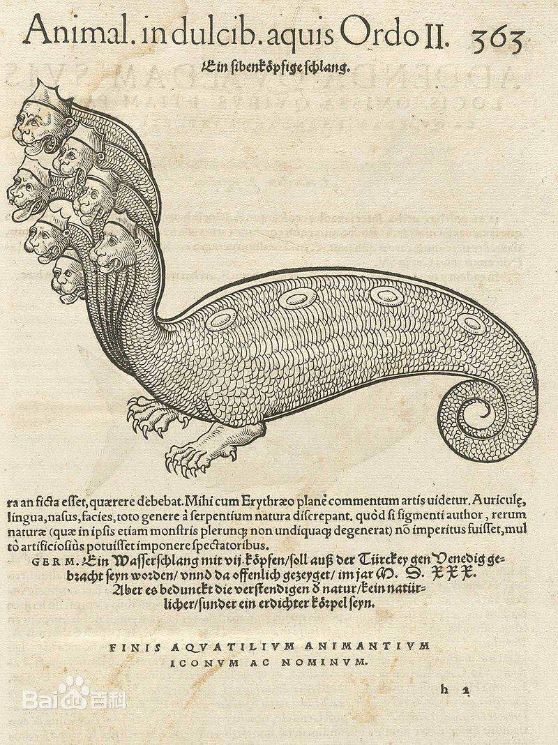 双头生物是否能二心一用？人类可以交流协作，动物则容易互相伤害_搜狐网, image size:800x1068