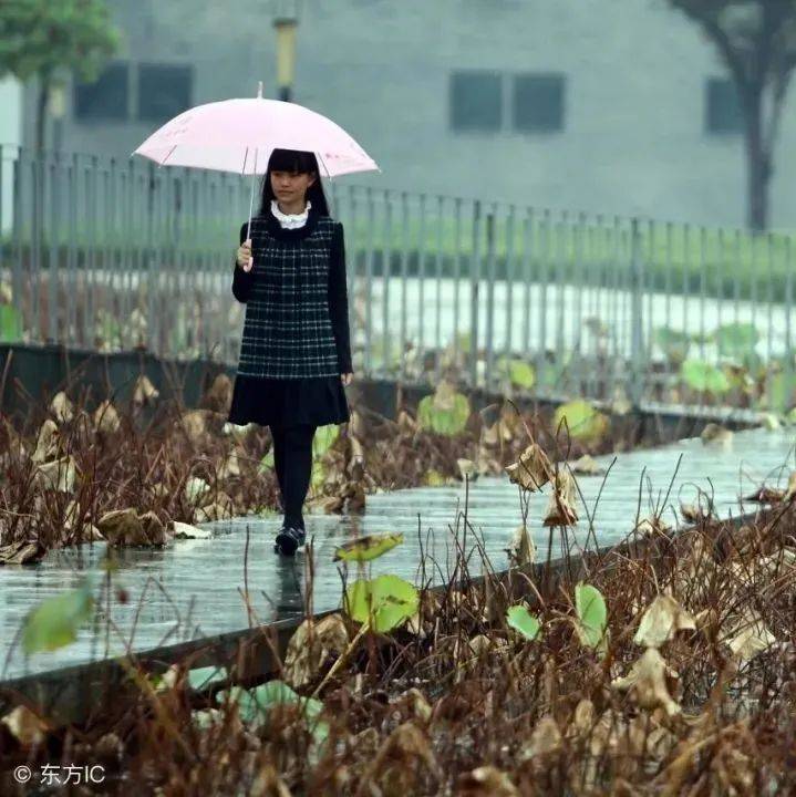 听 雨_秋雨_夏雨_春雨