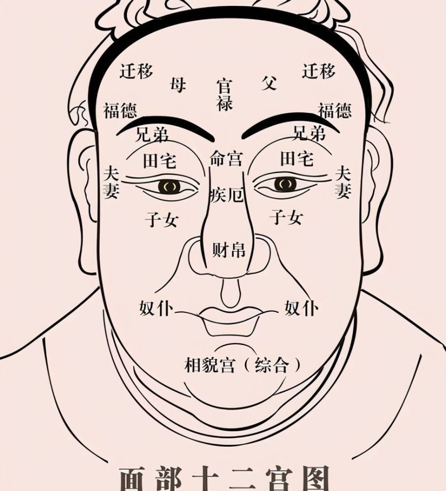 面相五岳图片