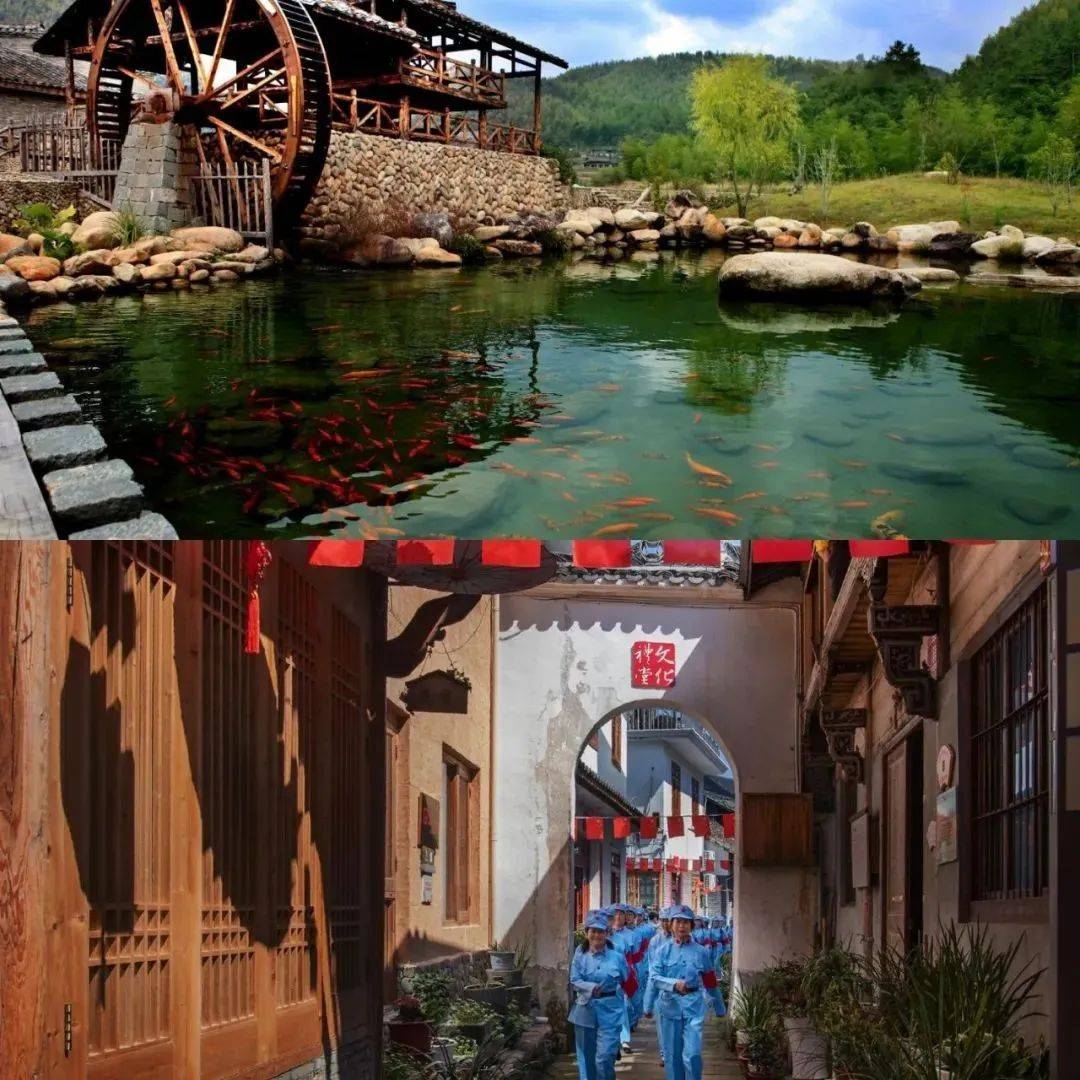 这两个村,省级荣誉!_庭院_工作_溪头村