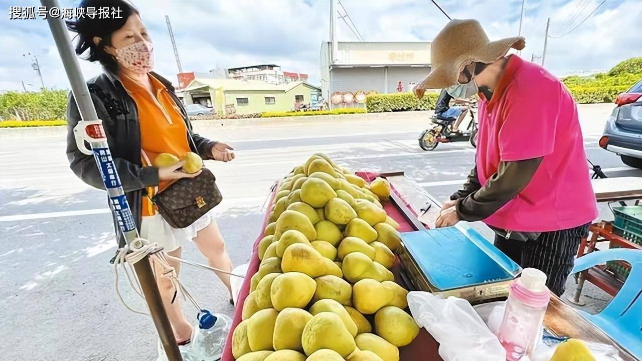 台南麻豆三年前蔡英文获得76%选票,如今大陆暂停文旦输入当地农民叫苦